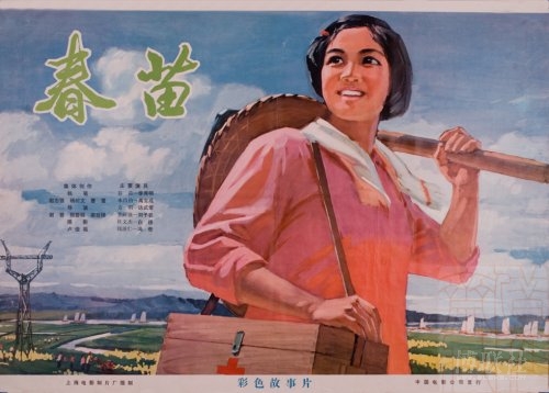 京都大学 Diploma